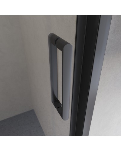 Душевая дверь в нишу BelBagno LUCE-BF-1-120-C-NERO