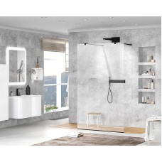 Душевая перегородка Cezares Liberta 110 LIBERTA-L-2-110-120-C-NERO профиль Черный матовый стекло прозрачное