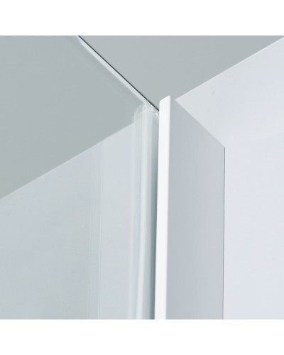 Душевая стенка WasserKRAFT Neime 19P10-RP100/Rhin 44S10-RP100 100 19P10-RP100/44S10-RP100 профиль Белый стекло прозрачное