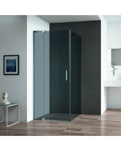 Душевой уголок CEZARES SLIDER-AH-1-100-100/110-GRIGIO-GM