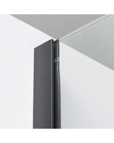 Душевой уголок WasserKRAFT Elbe 120x100 74P10 профиль Черный матовый стекло прозрачное