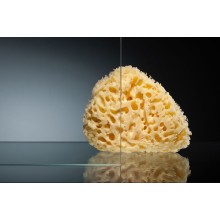 Душевой уголок Radomir 120x90 1-09-1-0-0-0100 профиль Белый стекло прозрачное