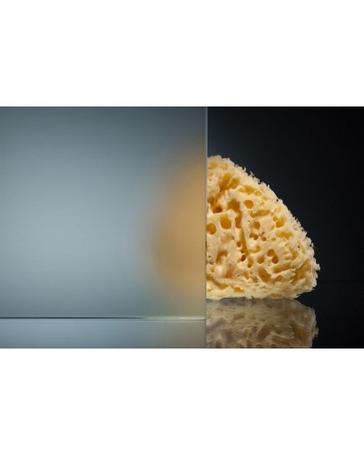 Душевой уголок Radomir 110x90 1-09-1-0-0-1221 профиль Белый стекло матовое