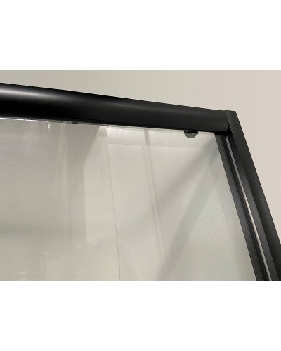 Душевой уголок Niagara Eco 100х100 NG-010-14Q Black профиль Черный стекло с рисунком
