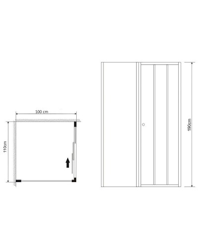 Душевой уголок Grossman Falcon 110х100 GR-D110-P100Fa профиль Хром стекло прозрачное