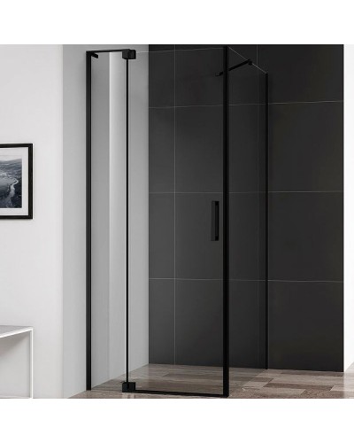 Душевой уголок Cezares Slider 110x90 SLIDER-AH-1-90-100/110-C-NERO профиль Черный матовый стекло прозрачное