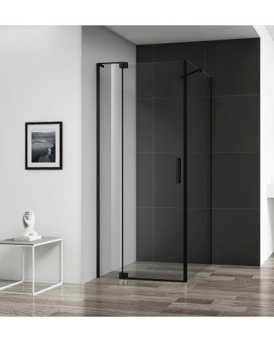 Душевой уголок Cezares Slider 110x90 SLIDER-AH-1-90-100/110-C-NERO профиль Черный матовый стекло прозрачное