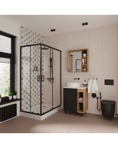 Душевой уголок Niagara Nova 100х80 NG-6881-08 BLACK профиль Черный стекло прозрачное