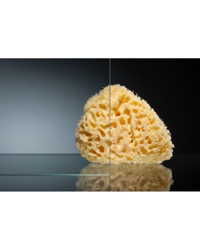 Душевой уголок 100х90 см Vegas Glass AFS-F 100x90 07 01 R прозрачное