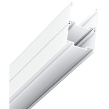 Душевой уголок 80х80 см Ravak Supernova SKCP4 3114OU02ZG Grape