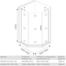 Душевой уголок 100х100 см Good Door Mokka PNT-100-C-WE прозрачное