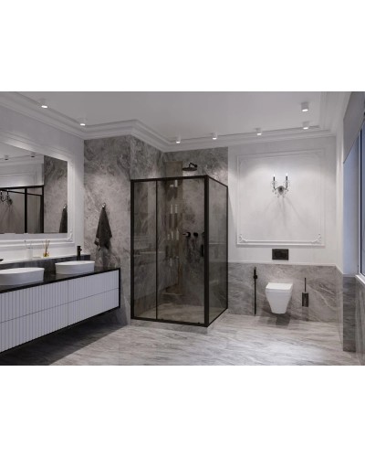 Душевой уголок 100х100 см Ambassador Forsa 17022216ABB-100ABB тонированное