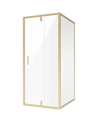 Душевой уголок 90х110 см Niagara NG-43-9AG-A110G прозрачное