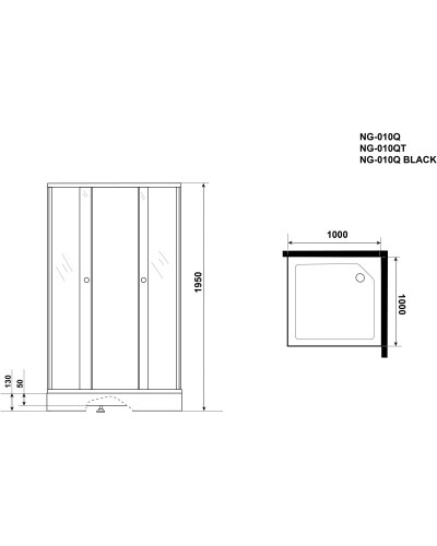 Душевой уголок с поддоном 100х100х195 см Niagara NG-010-14QT тонированное
