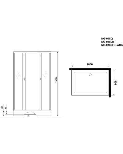 Душевой уголок с поддоном 100х80х195 см Niagara NG-018-14QT тонированное