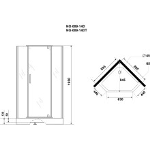 Душевой уголок с поддоном 90х90х195 см Niagara NG-009-14DT тонированное