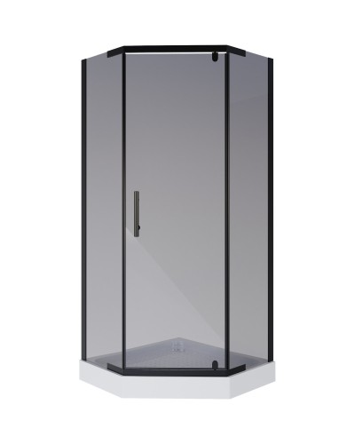 Душевой уголок с поддоном 100х100х195 см Niagara NG-010-14DT тонированное
