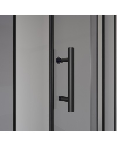 Душевой уголок с поддоном 100х100х195 см Niagara NG-010-14DT тонированное