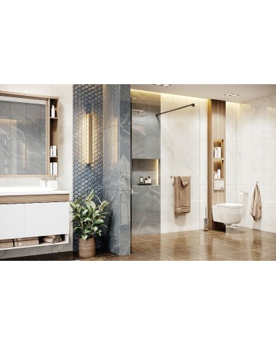 Душевая перегородка Ambassador Walk-in 100х200 15031110 профиль Черный стекло прозрачное