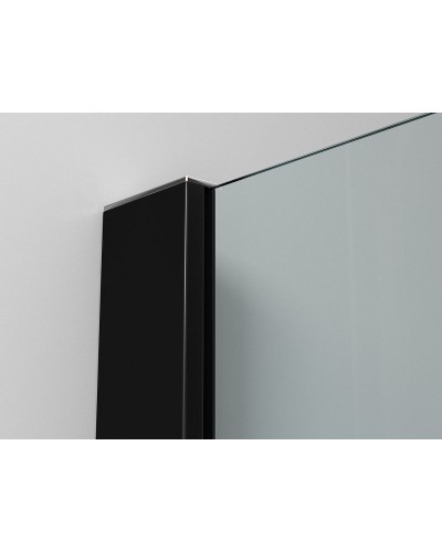 Душевая перегородка Ambassador Walk-in 120х200 15031112 профиль Черный стекло прозрачное