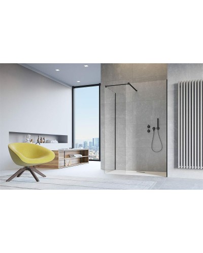 Душевая перегородка Radaway Modo New II 100 389104-54-01 профиль Черный стекло прозрачное