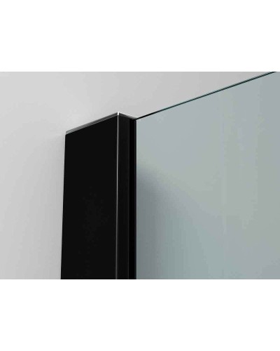 Душевая перегородка Ambassador Walk-in 100х200 15031235 профиль Черный стекло прозрачное