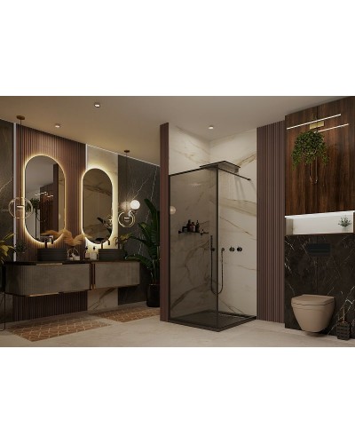 Душевая перегородка Ambassador Walk-in 110х200 15032217 профиль Черный стекло тонированное