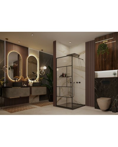 Душевая перегородка Ambassador Walk-in 120х200 15031215 профиль Черный стекло прозрачное