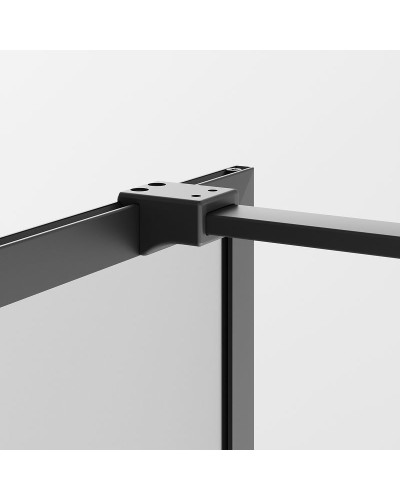 Душевая перегородка Ambassador Walk-in 120х200 15031215 профиль Черный стекло прозрачное