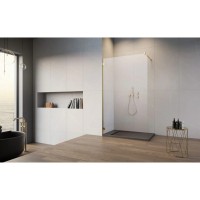 Неподвижная перегородка Radaway Essenza Pro Gold Walk-in 115 прозрачное