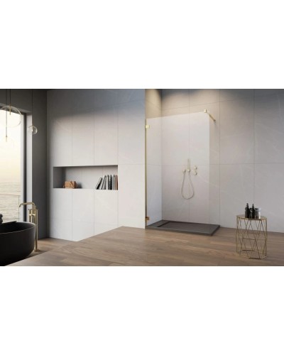 Неподвижная перегородка Radaway Essenza Pro Gold Walk-in 160 прозрачное