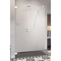 Неподвижная перегородка Radaway Essenza Pro White Walk-in 115 прозрачное