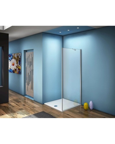 Боковая стенка 100 см Good Door Fantasy SP-100-C-CH прозрачное