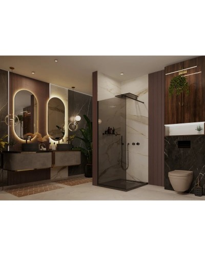 Неподвижная перегородка 100х200 см Ambassador Walk-in 15032222 тонированное