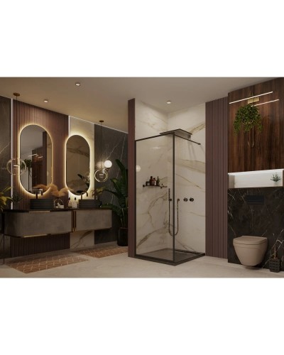 Неподвижная перегородка 69,5х200 см Ambassador Walk-in 15031221 прозрачное