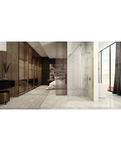 Неподвижная перегородка 120х195 см Rea Aero REA-K8443 прозрачное