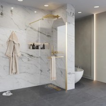 Неподвижная перегородка 100 см Niagara NG-641-10GOLD прозрачное