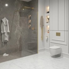 Неподвижная перегородка 110 см Niagara NG-643-11GOLD прозрачное