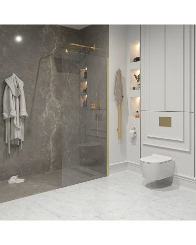 Неподвижная перегородка 120 см Niagara NG-643-12GOLD прозрачное