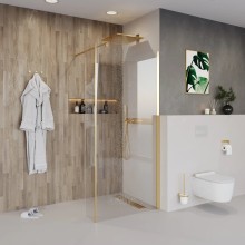 Неподвижная перегородка 110 см Niagara NG-644-11GOLD прозрачное