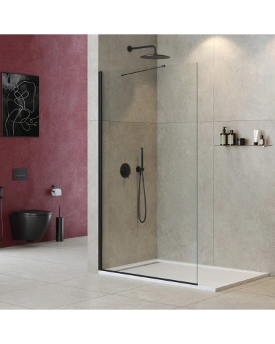 Неподвижная перегородка 120 см Cezares LIBERTA-L-1-TB-120-C-NERO прозрачное