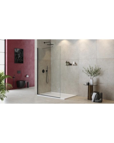 Неподвижная перегородка 115 см Cezares LIBERTA-L-1-TB-115-C-NERO прозрачное