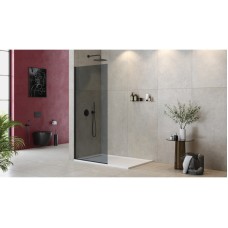 Неподвижная перегородка 100 см Cezares LIBERTA-L-1-TB-100-GR-NERO графитовое