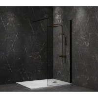 Неподвижная перегородка 100 см Paini PAINI-WalkIN100C прозрачное