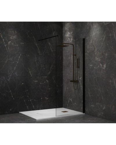 Неподвижная перегородка 100 см Paini PAINI-WalkIN100C прозрачное