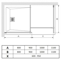 Неподвижная перегородка 100 см Paini PAINI-WalkIN100C прозрачное
