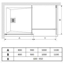 Неподвижная перегородка 100 см Paini PAINI-WalkIN100C прозрачное