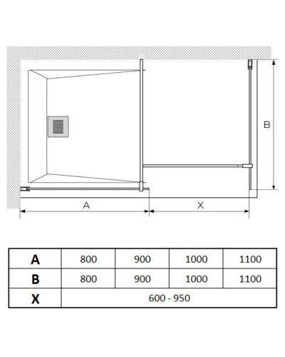 Неподвижная перегородка 100 см Paini PAINI-WalkIN100C прозрачное
