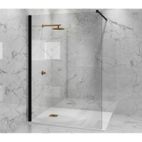 Неподвижная перегородка 110 см Paini PAINI-WalkIN110C прозрачное