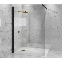 Неподвижная перегородка 110 см Paini PAINI-WalkIN110C прозрачное